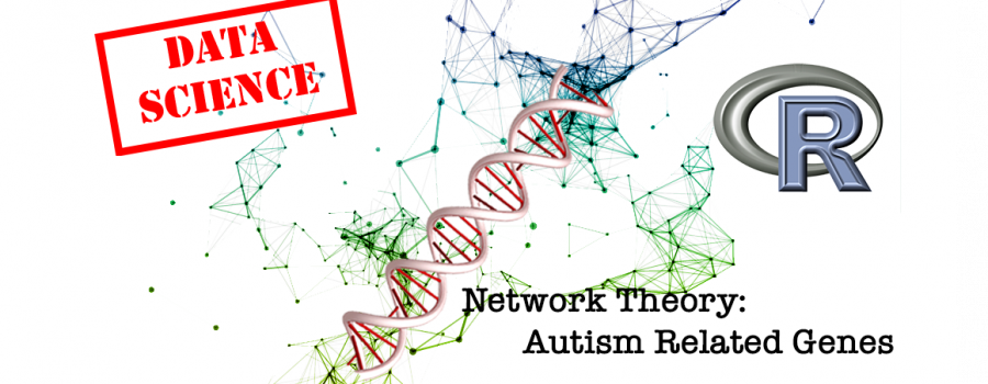 Network Theory and Autism
